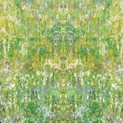Ramose Wallpaper by Simcox • Color Moss • Abstract Wallpaper • swatch