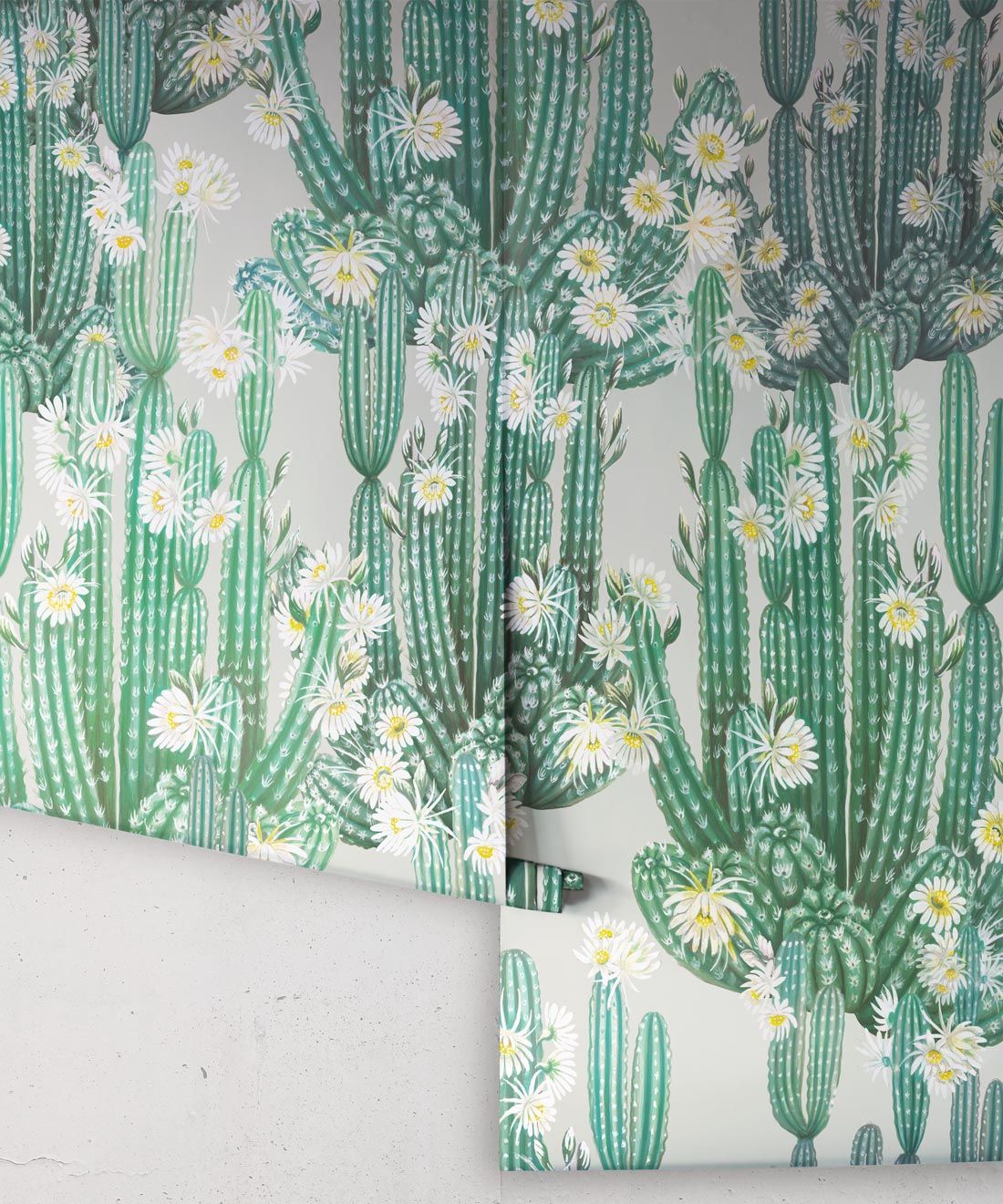 San Pedro Wallpaper Green • Cactus Wallpaper • Succulents Wallpaper • Desert Wallpaper Rolls