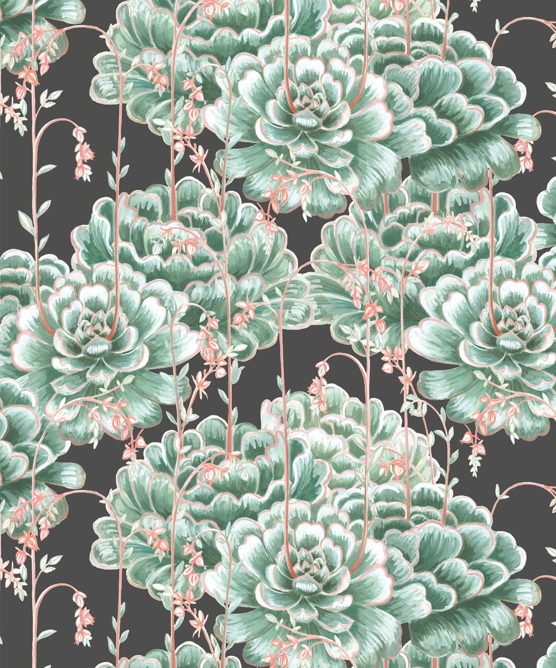 Succulents Wallpaper Green Charcoal • Cactus Wallpaper • Desert Wallpaper Swatch on black background