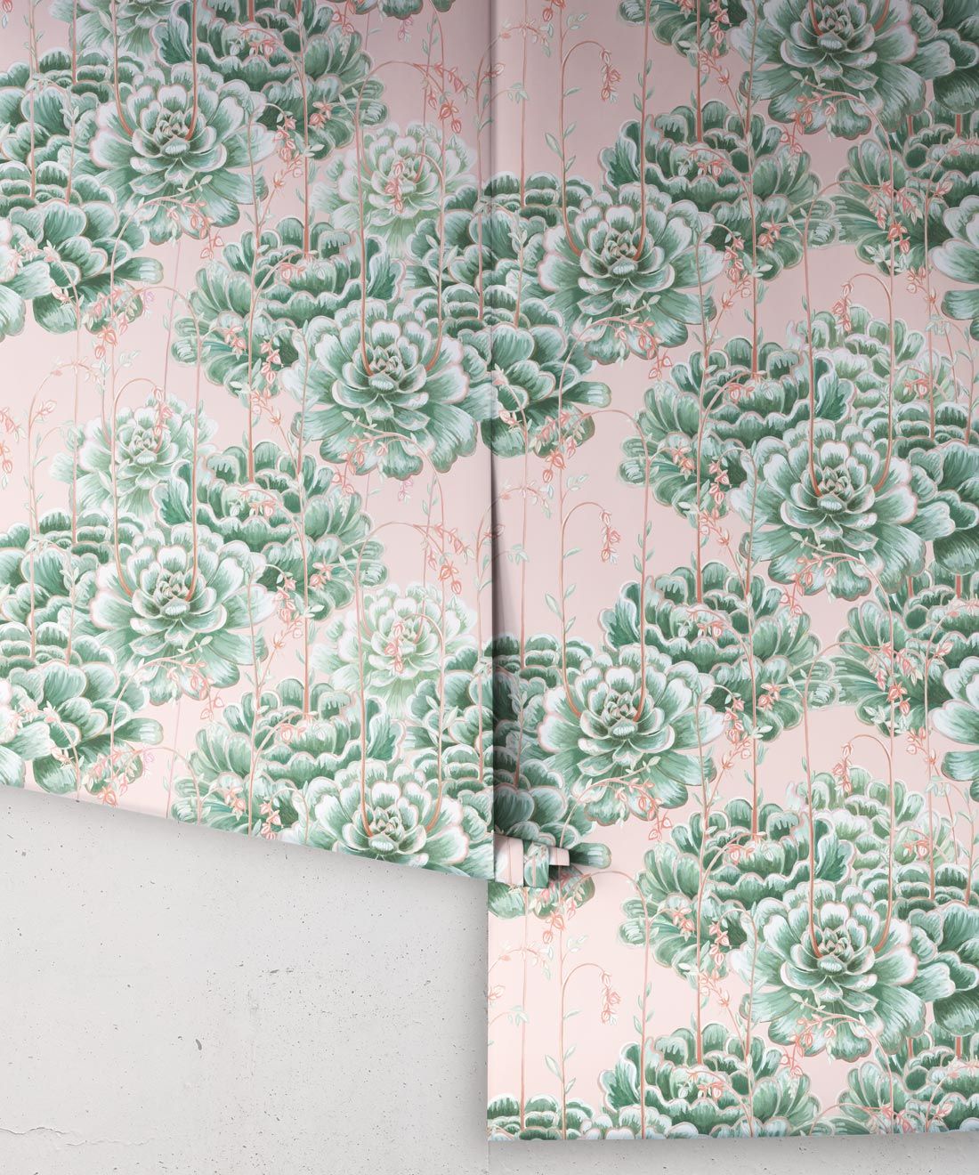 Succulents Wallpaper Green Pink • Cactus Wallpaper • Desert Wallpaper rolls on pink background
