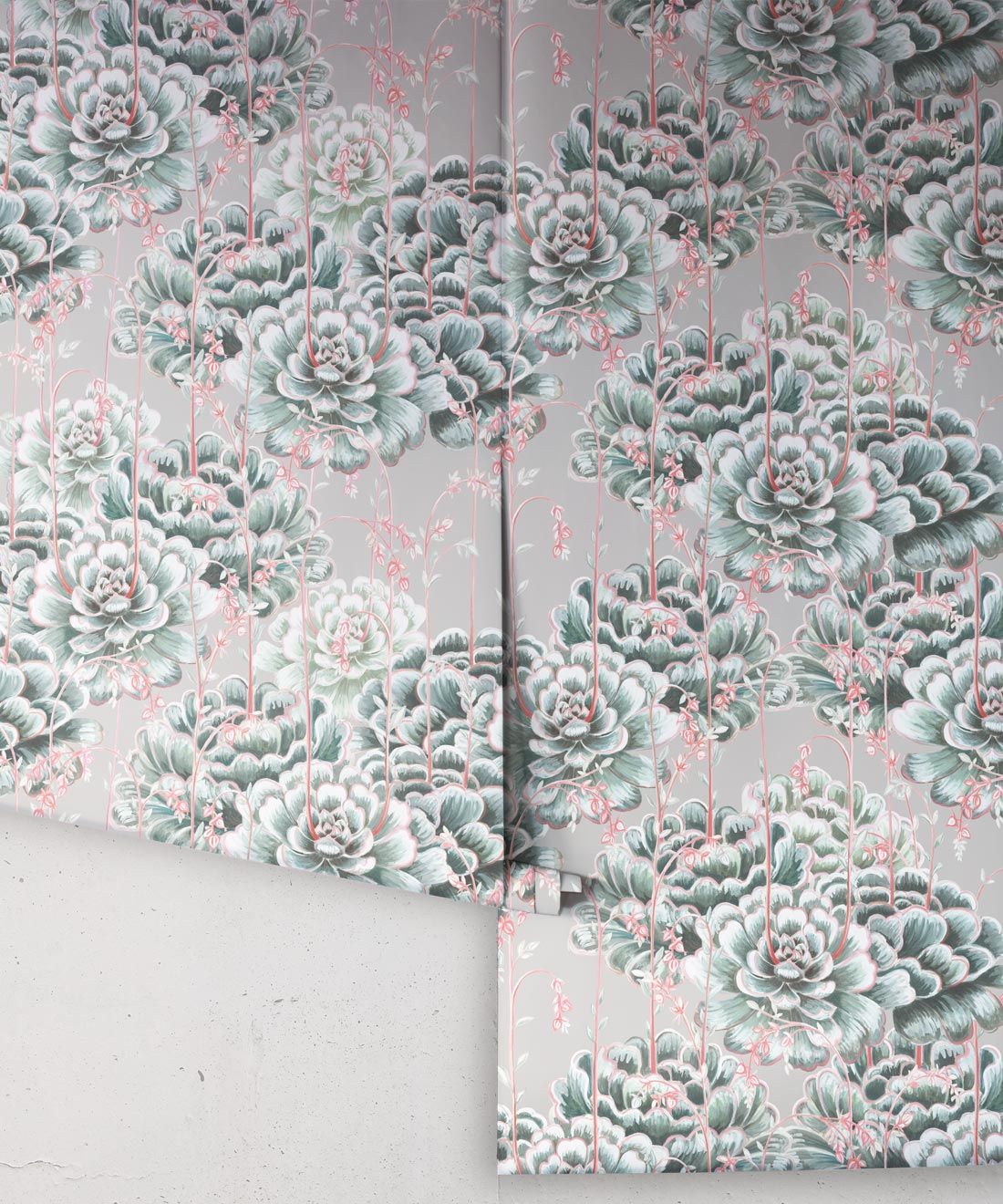 Succulents Wallpaper Sage • Cactus Wallpaper • Desert Wallpaper rolls on grey background