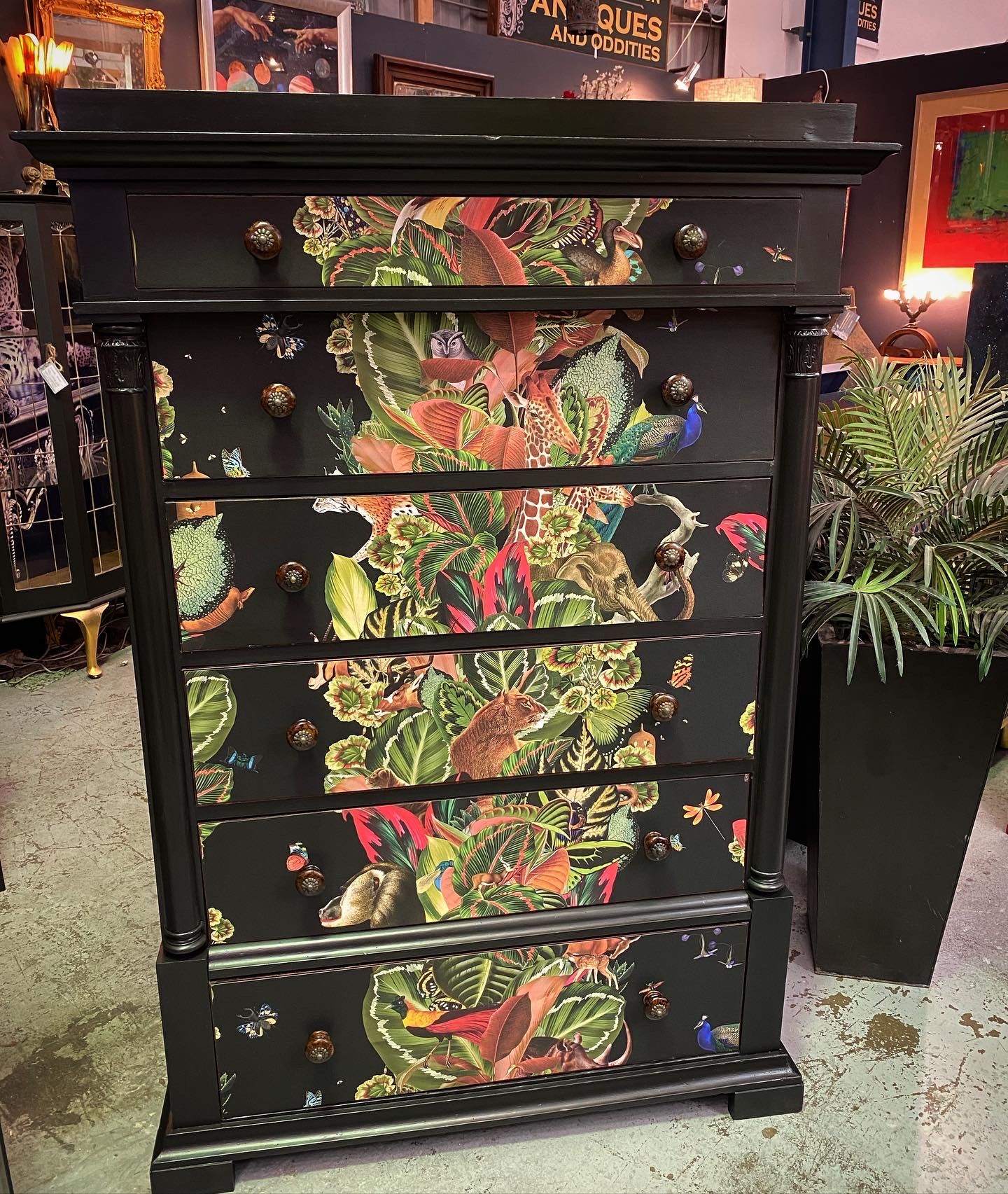 Antique Chest Of Drawers with Viva Tropicana Wallpaper by Milton & King available from Halchemy Design