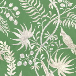 Fern Green