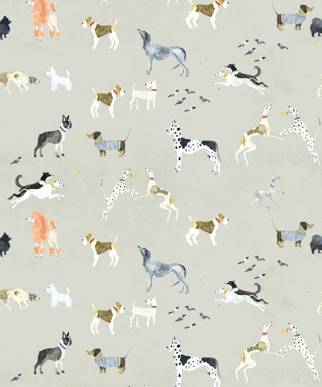 Cute Dog Wallpapers Hd  640x960 Wallpaper  teahubio