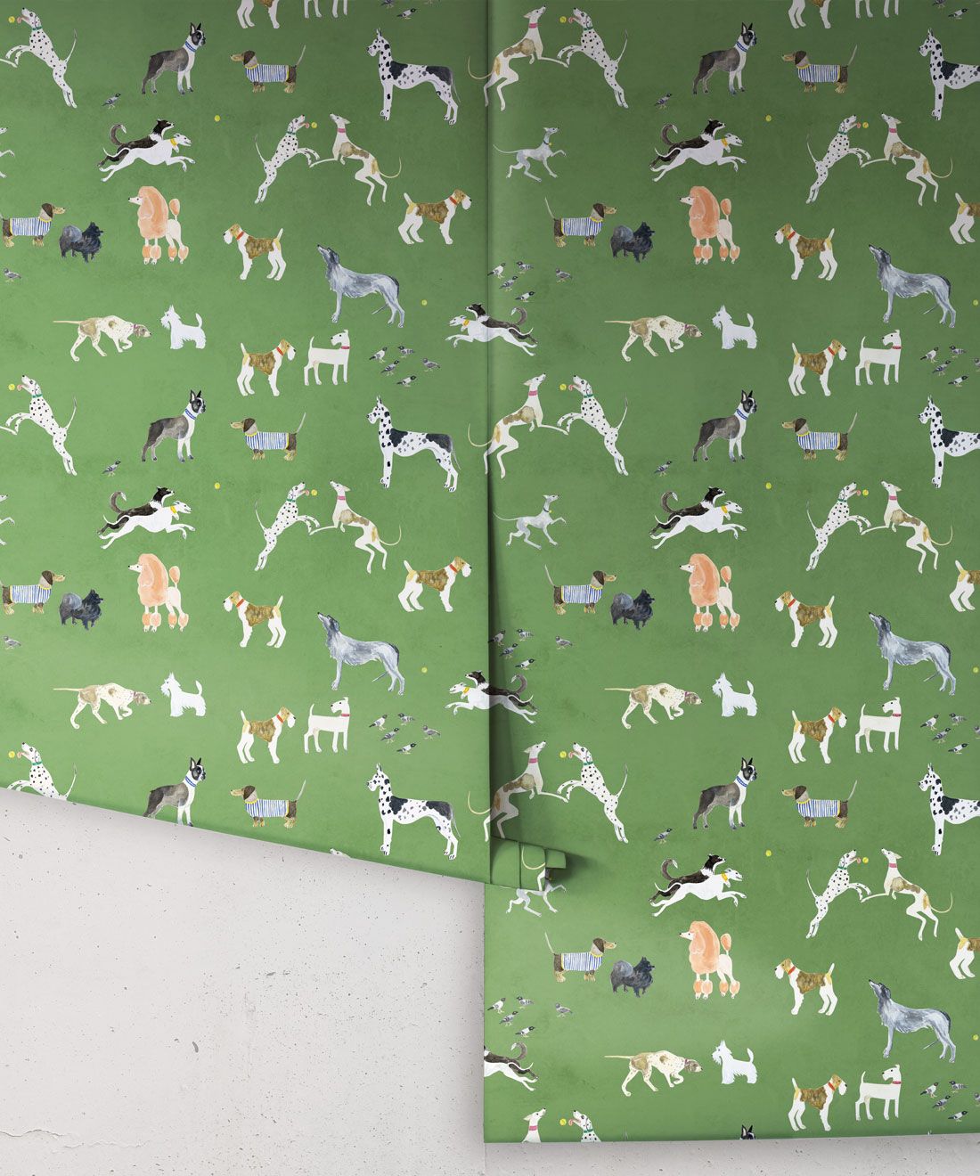 Cow Print Wallpapers on WallpaperDog