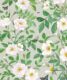 Rosa Wallpaper • Floral Wallpaper • Beige •Swatch