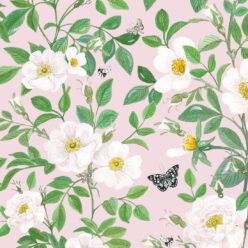 Rosa Wallpaper • Floral Wallpaper • Blush •Swatch