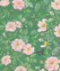 Rosa Wallpaper • Floral Wallpaper •Forest Green •Swatch