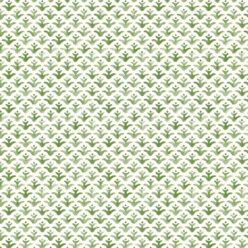 Moss