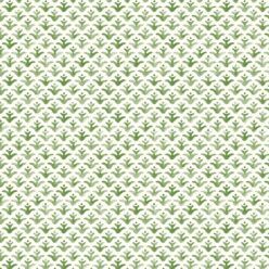 Moss