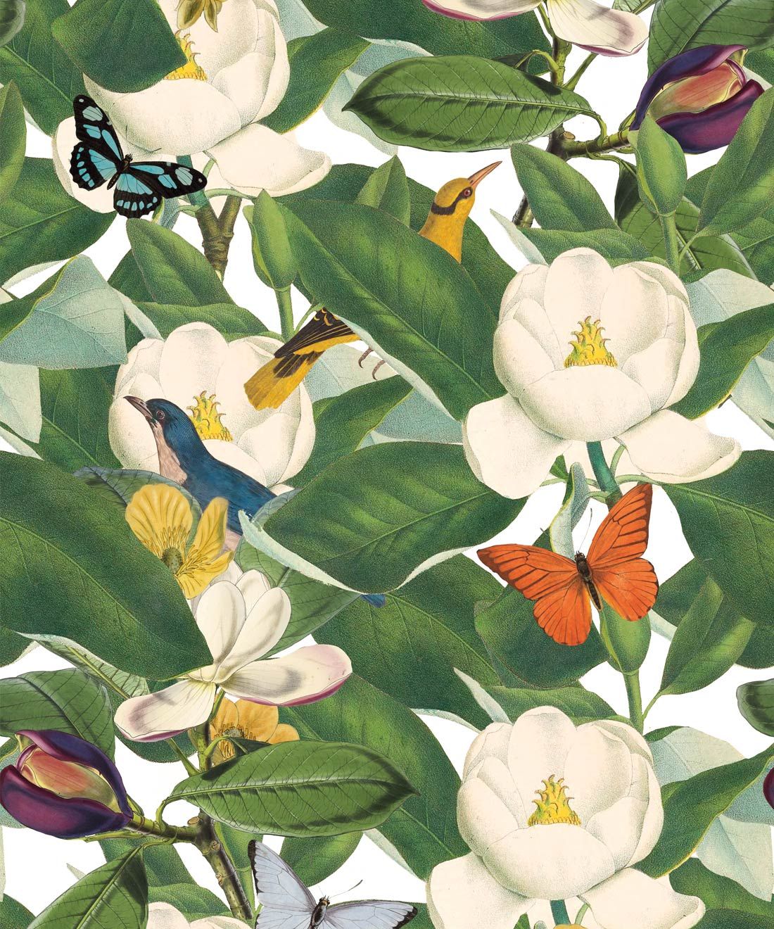 Magnolia Bloom Wallpaper • Floral White Magnolias • Swatch