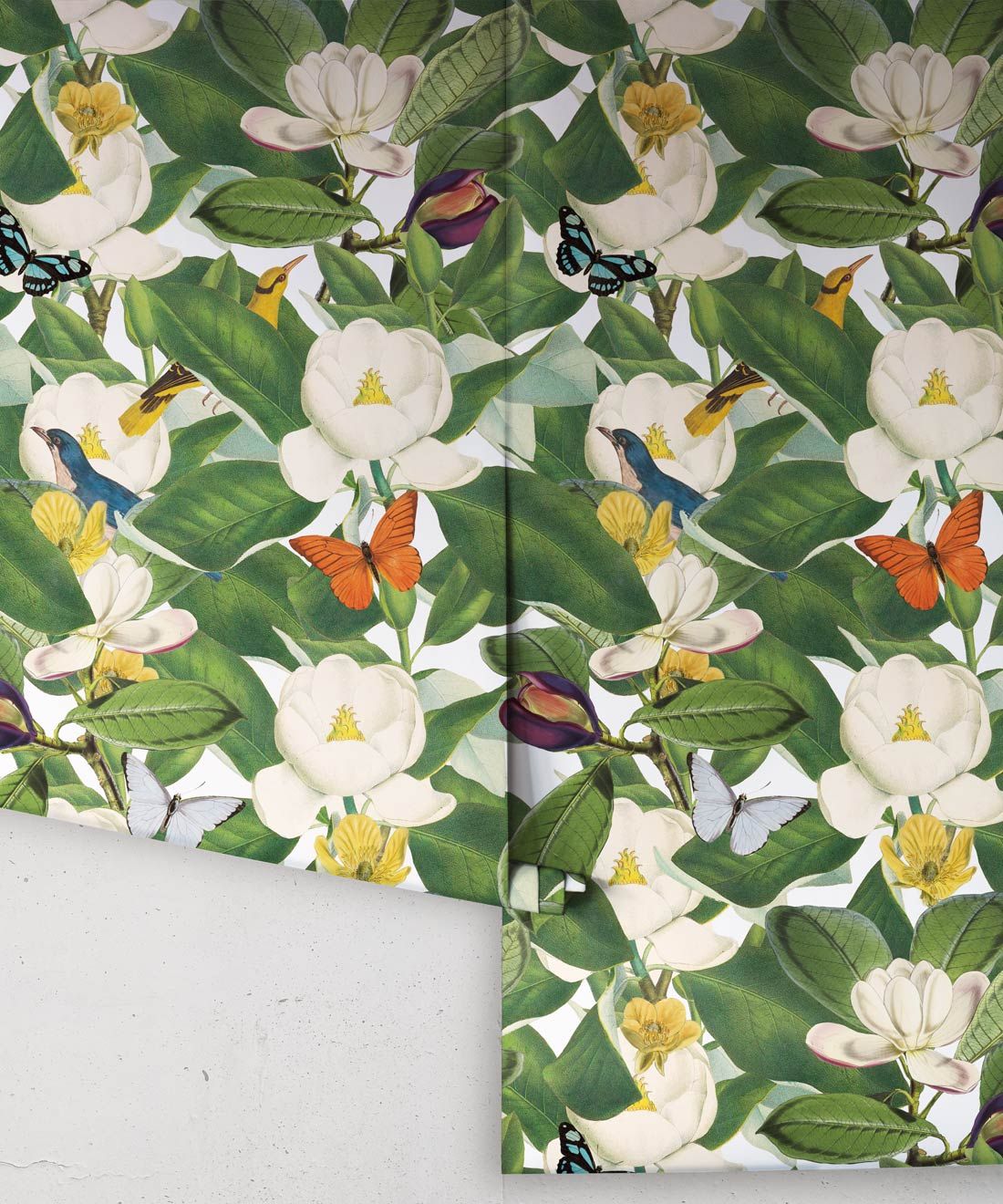 Magnolia Bloom Wallpaper • Floral White Magnolias • Rolls