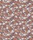 Flannel Flowers Wallpaper • Orange • Swatch