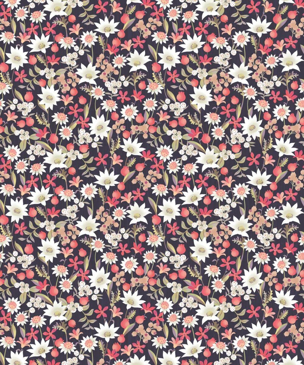 Flannel Flowers Wallpaper • Small Australian Flora • Milton & King