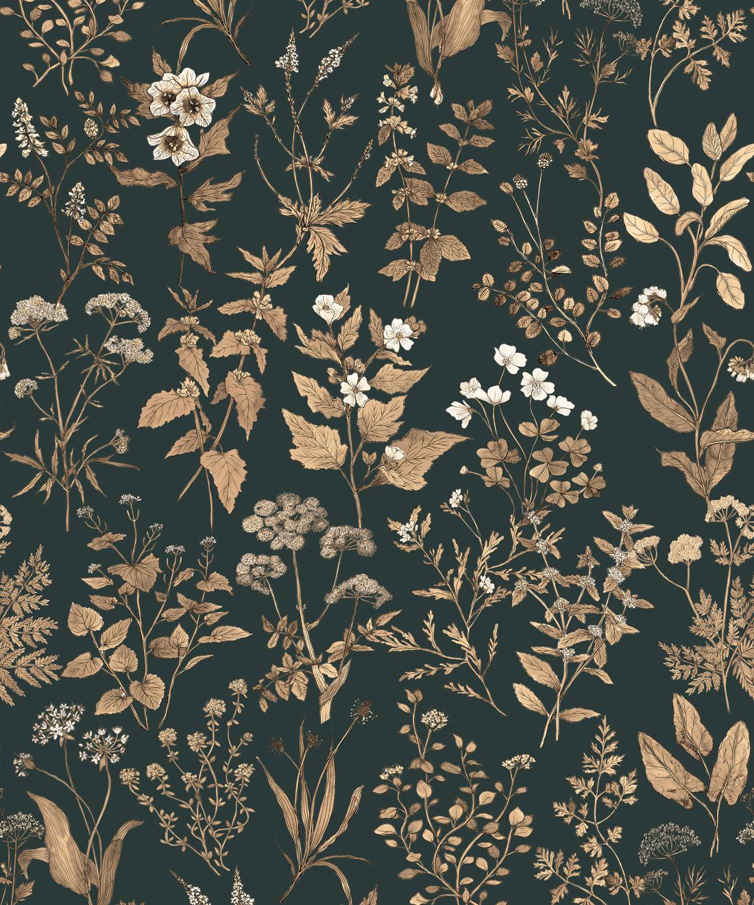Herbarium Antique • Herbal & Floral Wallpaper • Milton & King