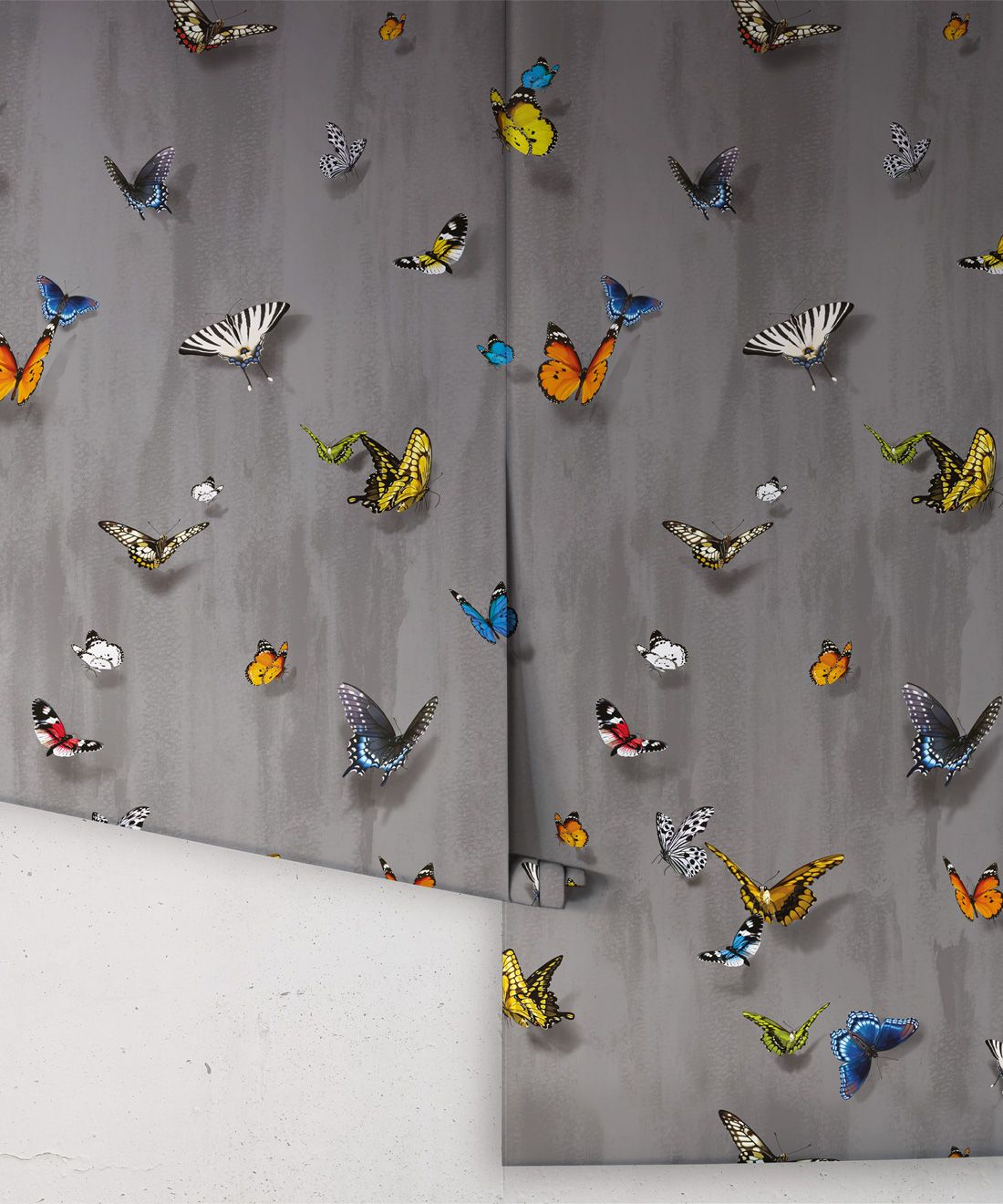 Papilio Wallpaper • Butterfly Wallpaper With Butterflies • Night • Roll