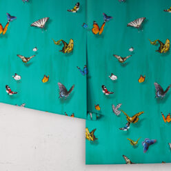 Papilio Wallpaper • Butterfly Wallpaper With Butterflies • Peacock • Roll