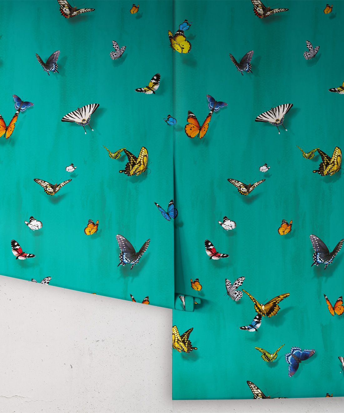 Papilio Wallpaper • Butterfly Wallpaper With Butterflies • Peacock • Roll