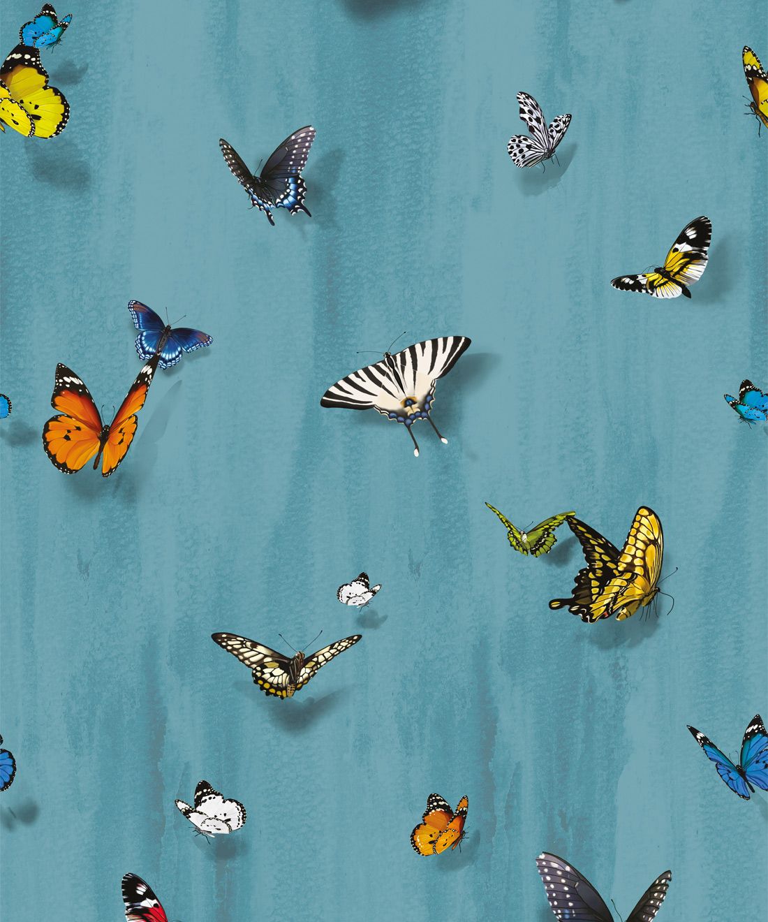 Papilio Wallpaper • Butterfly Wallpaper With Butterflies • Robin Blue • Swatch