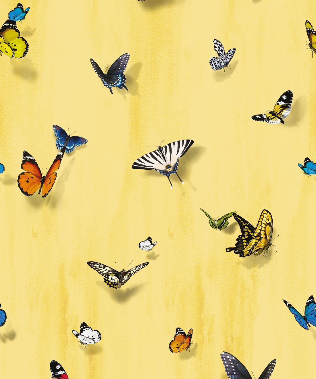Papilio Wallpaper • Butterfly Wallpaper With Butterflies • Sunrise • Swatch