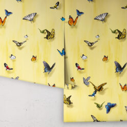 Papilio Wallpaper • Butterfly Wallpaper With Butterflies • Sunrise • Roll