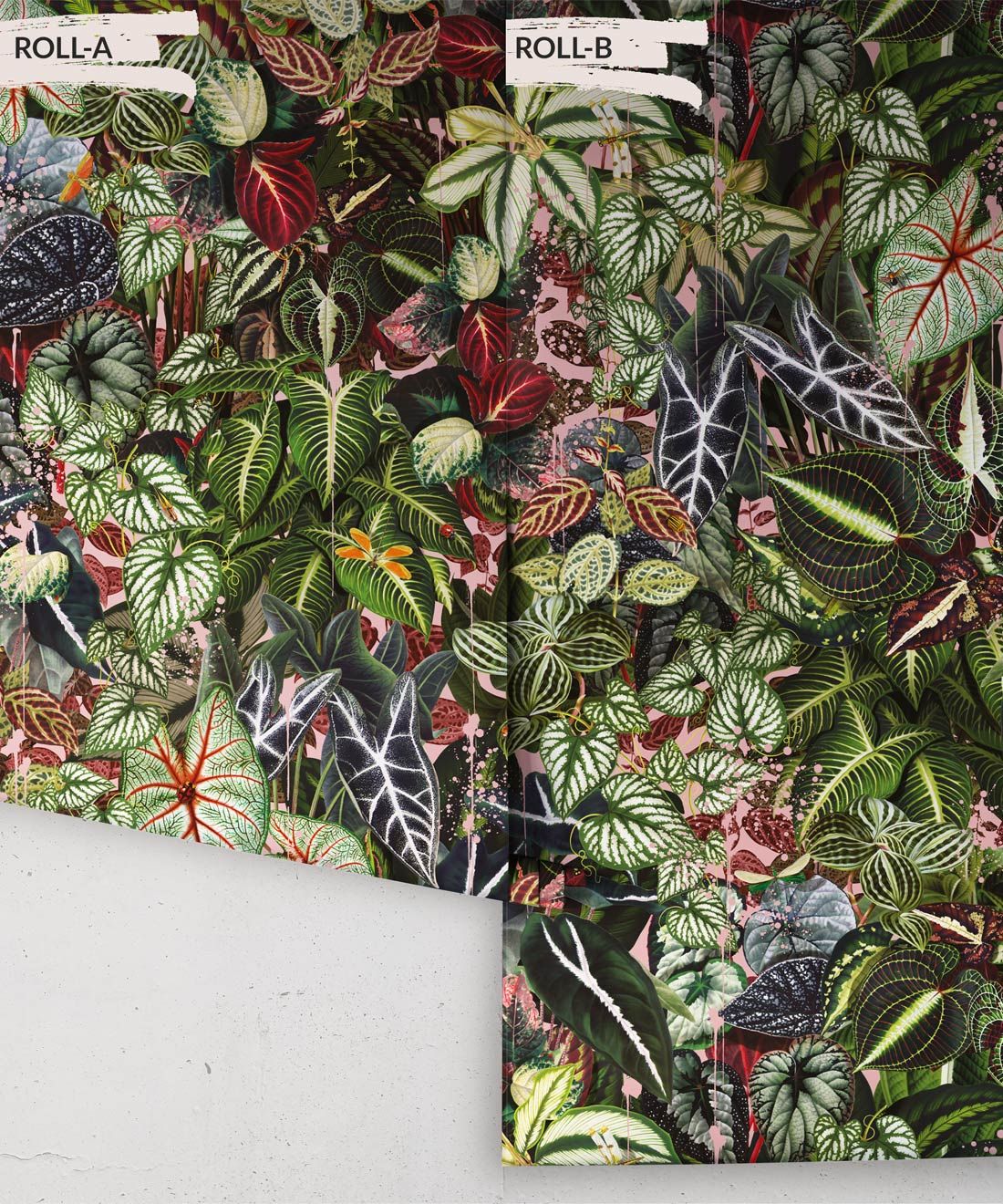 Verde Wallpaper • Green Leaf Wallpaper • Botanical Wallpaper • Coral • Roll
