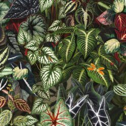 Jungle