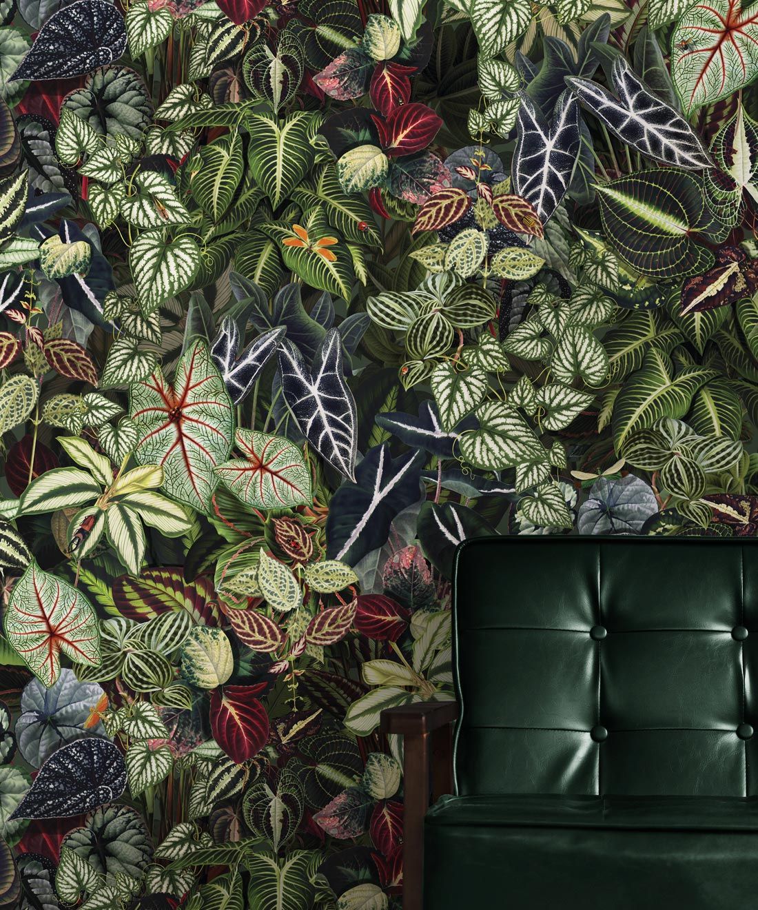 Verde Wallpaper • Green Leaf Wallpaper • Botanical Wallpaper • Jungle • Insitu