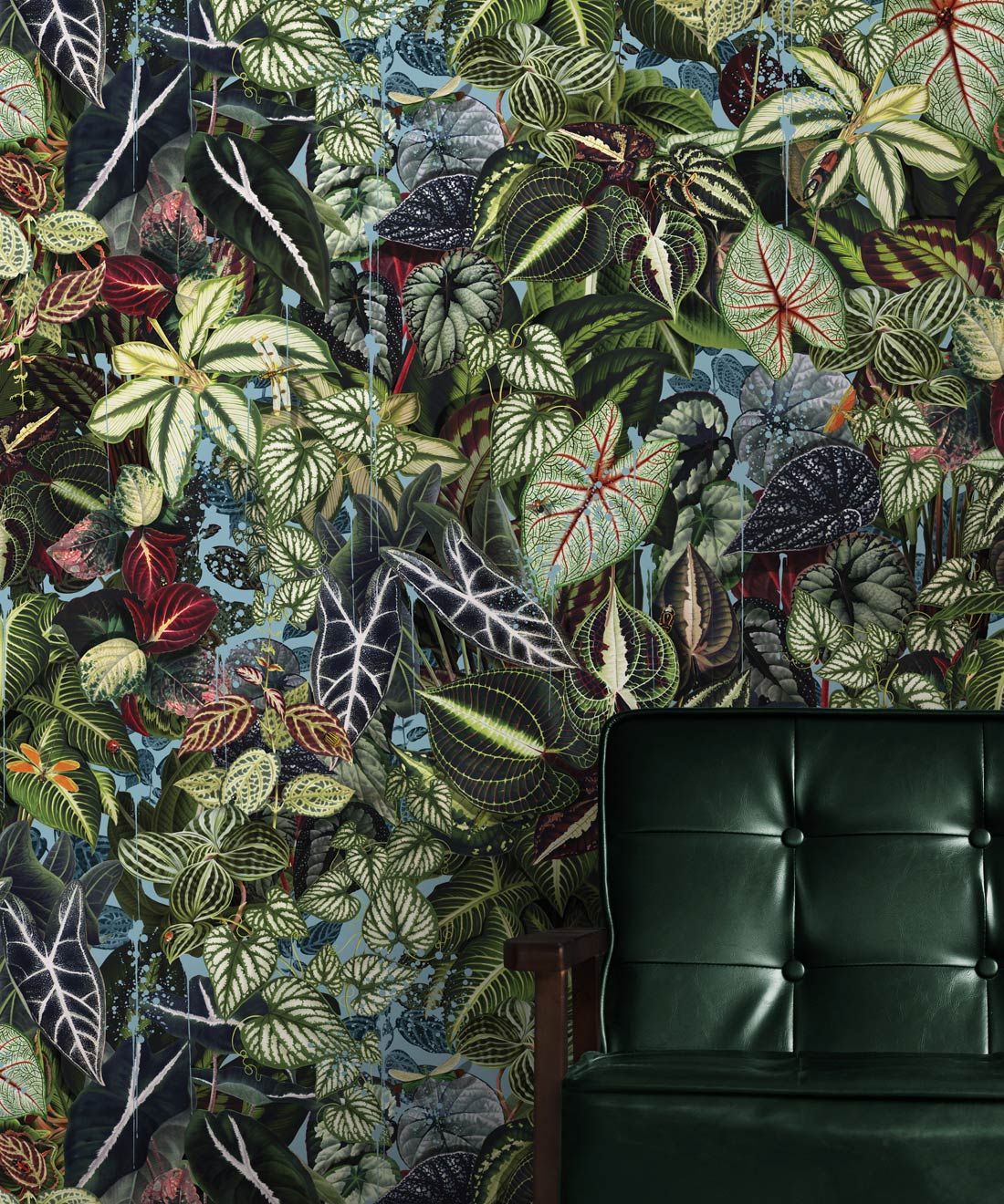 Verde Wallpaper • Green Leaf Wallpaper • Botanical Wallpaper • Sky • Insitu