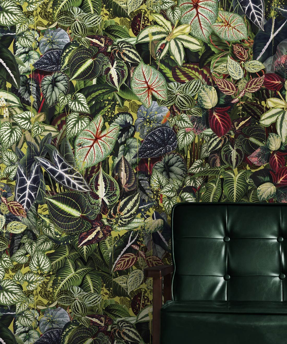 Verde Wallpaper • Green Leaf Wallpaper • Botanical Wallpaper • Sprout • Insitu