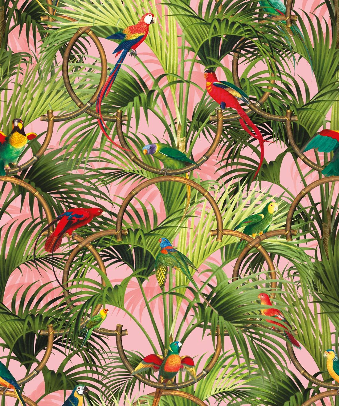 Copacabana Wallpaper • Tropical Bird Wallpaper • Coral • Swatch