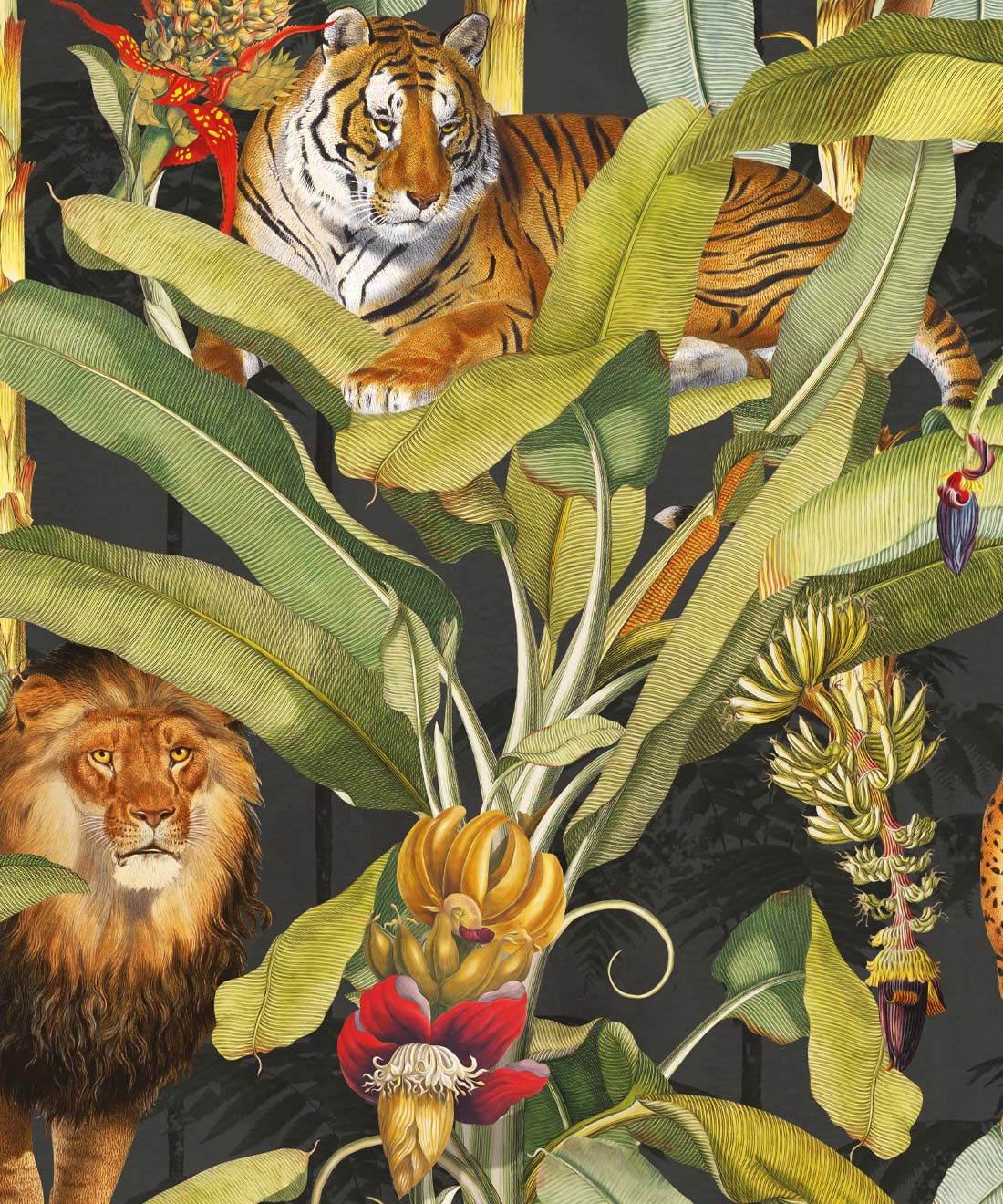 Felis Wallpaper • Animal Wallpaper with Lions, Tigers & Leopards • Night • Swatch