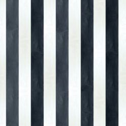 Charcoal