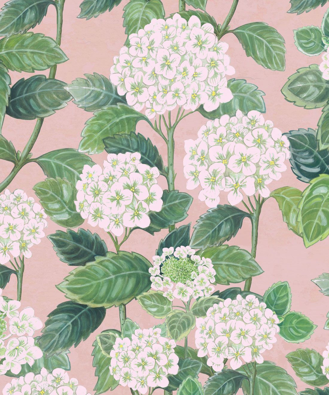Hydrangea Garden Wallpaper • Pink • Swatch