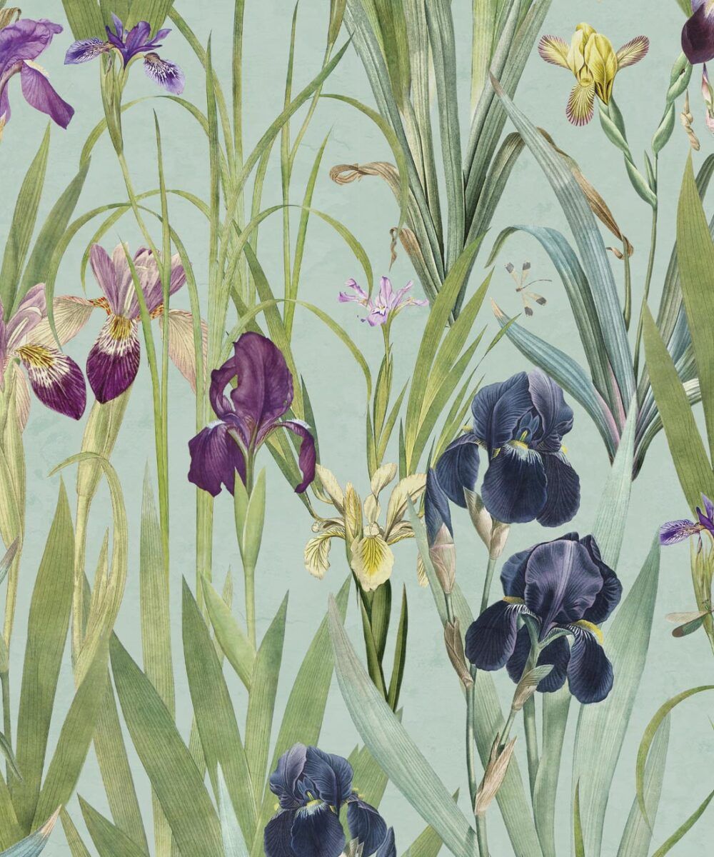 Iris Wallpaper • Floral Botanical Wallpaper • Milton & King USA