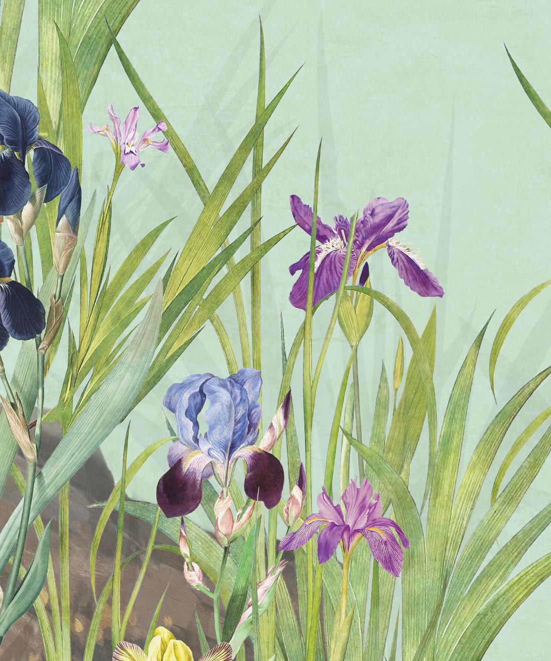 Iris Garden Mural • Blue • Swatch