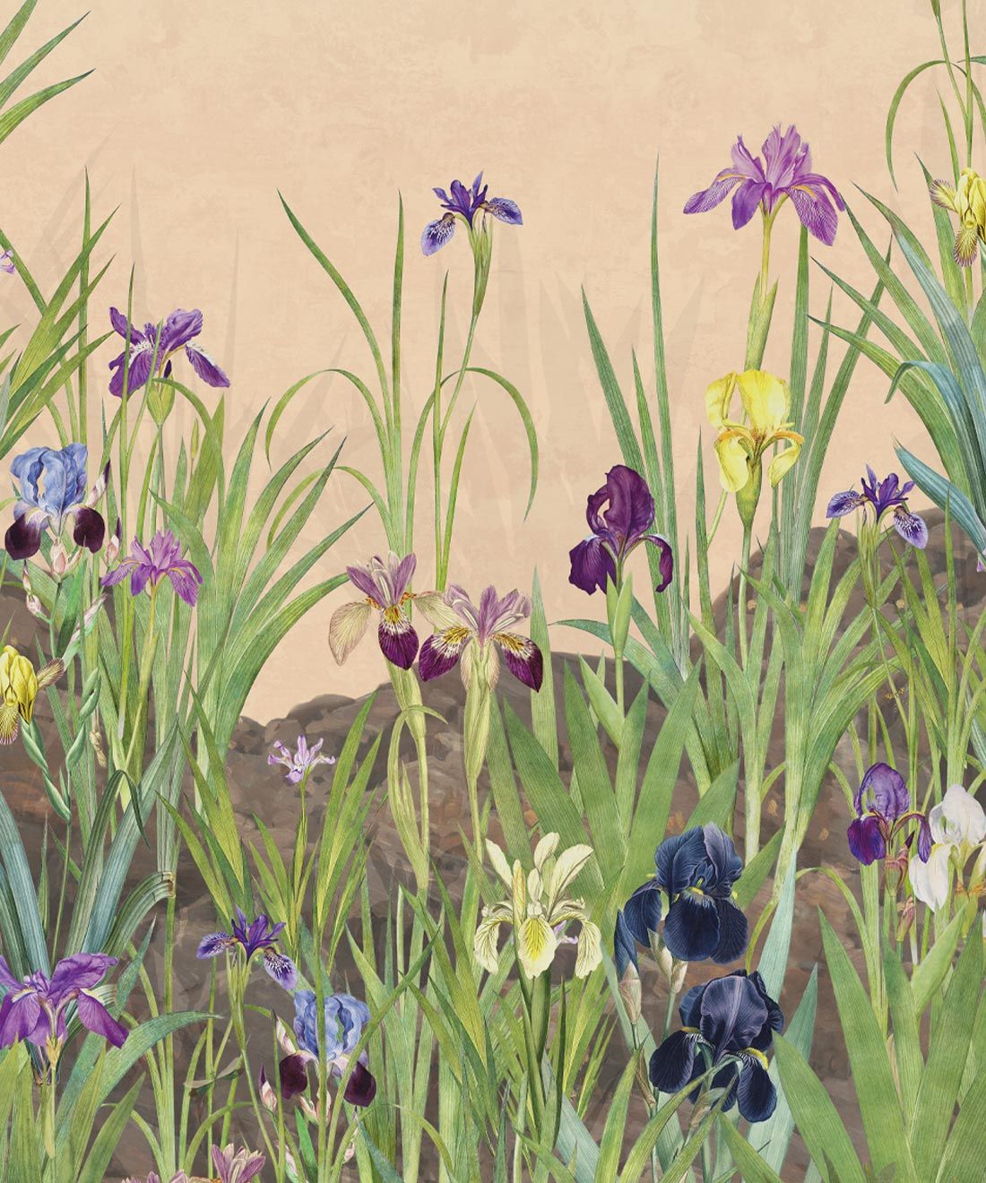 Iris Garden Mural