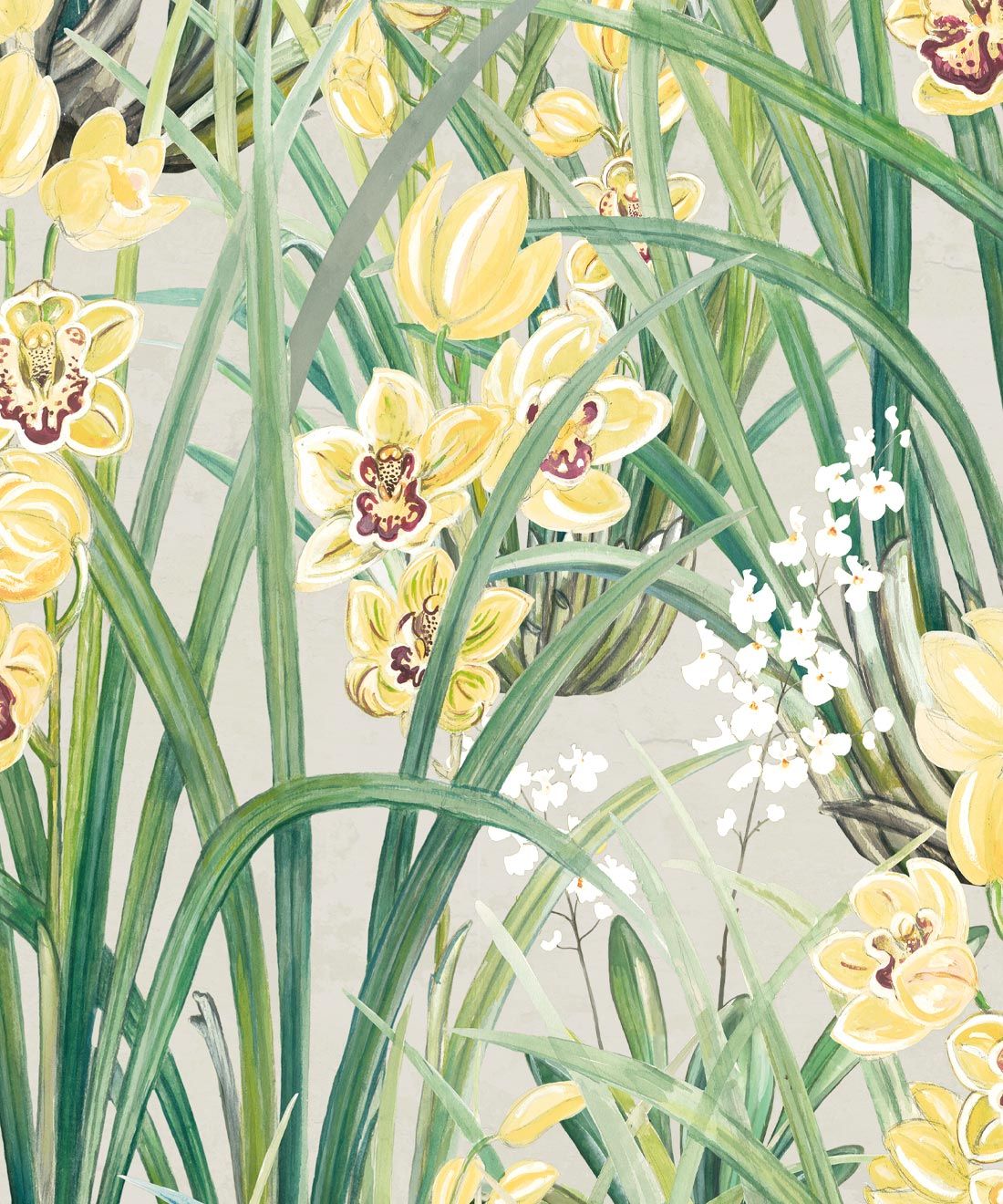 Garden Orchids Wallpaper • Yellow • Swatch