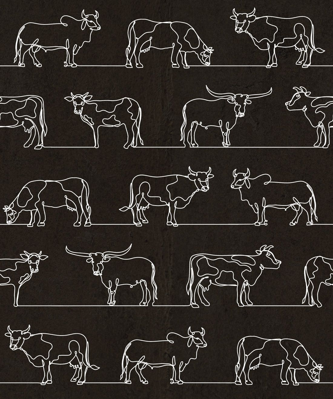 The Herd Wallpaper • Cow, Cattle, Farm Animals • Charcoal • Swatch