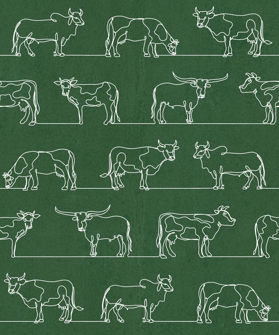 The Herd Wallpaper • Cow, Cattle, Farm Animals • Green • Swatch