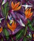 Hummingbirds Fabric • Bird Fabric • Purple • Swatch