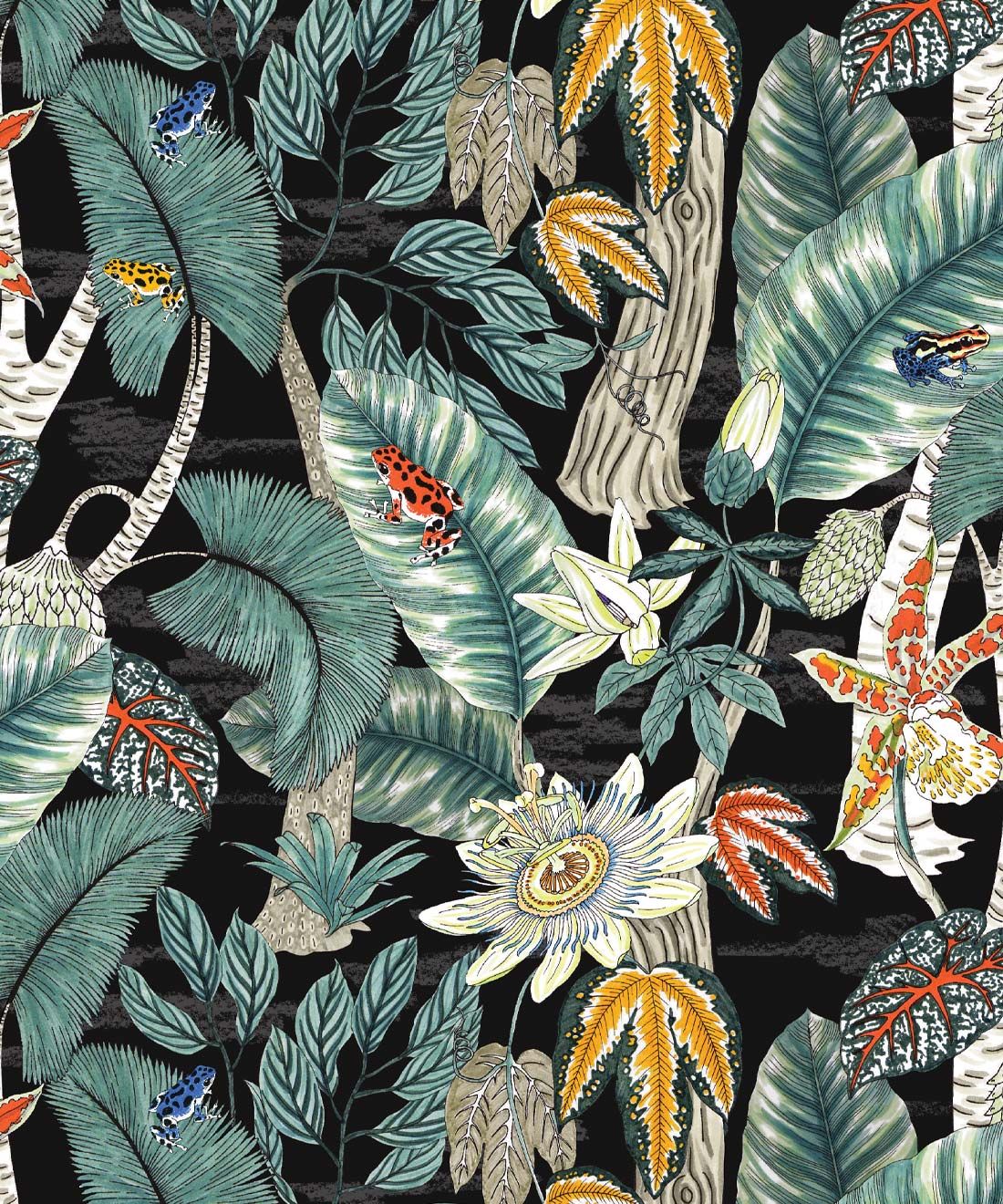 Amazonian Frogs Wallpaper • Tropical Jungle Leaves Wallpaper • Jacqueline Colley • Swatch