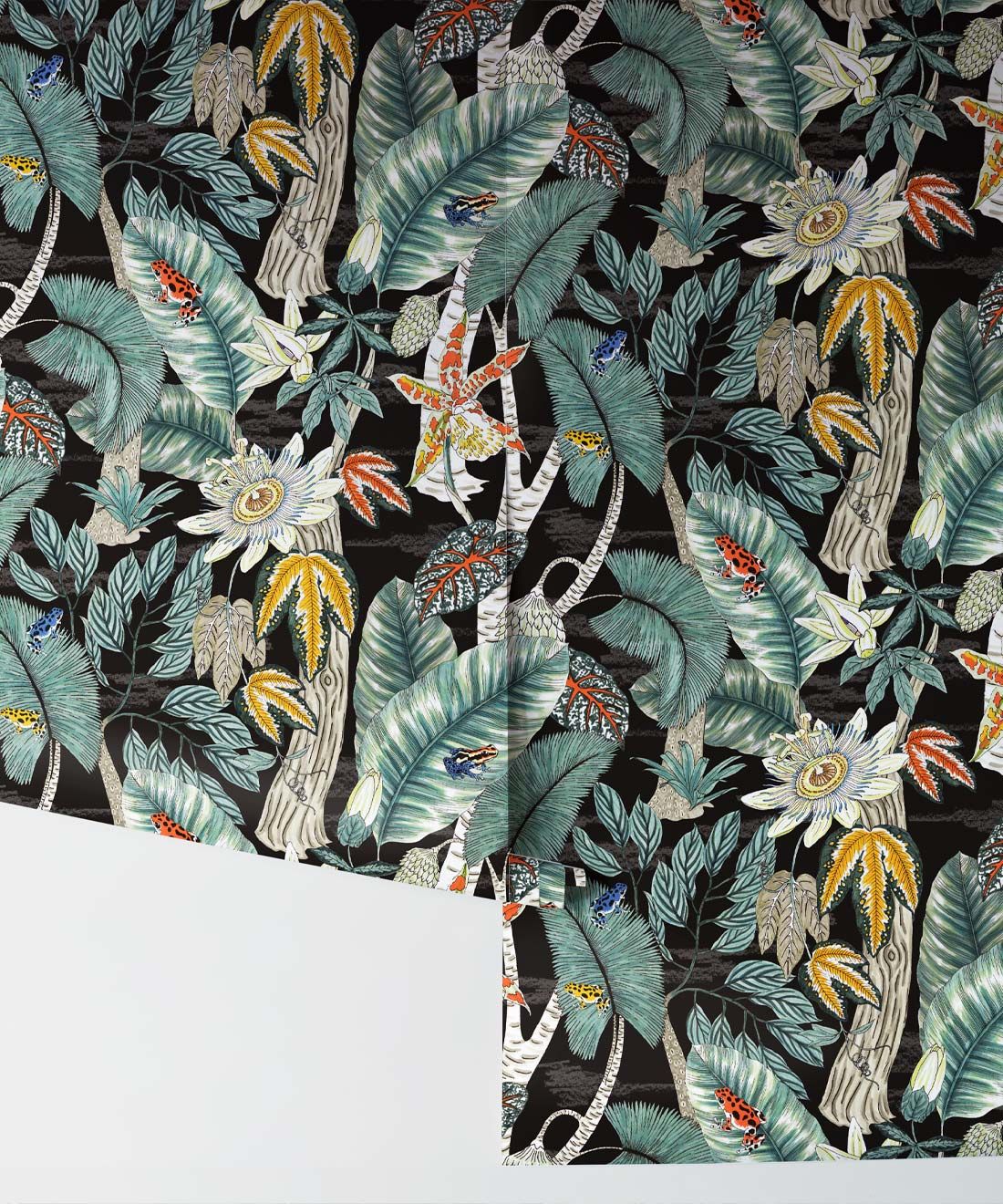 Amazonian Frogs Wallpaper • Tropical Leaves Wallpaper • Jacqueline Colley • Rolls