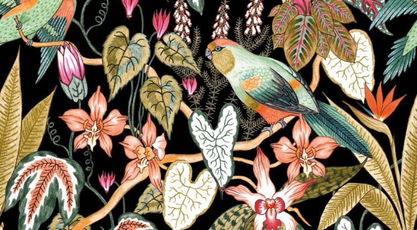 Parrot Jungle Wallpaper • Jacqueline Colley • Black • Swatch