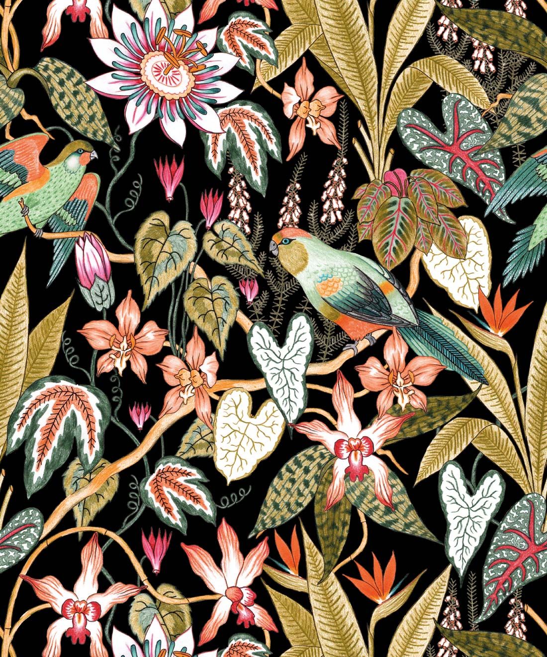Parrot Jungle Wallpaper • Tropical Birds • Milton & King