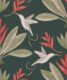 Hummingbirds & Heliconias Wallpaper • Allira Tee • Bird Wallpaper • Forest Green • Swatch