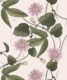 Passiflora Wallpaper • Beige • Swatch