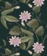 Passiflora Wallpaper • Dark Green • Swatch