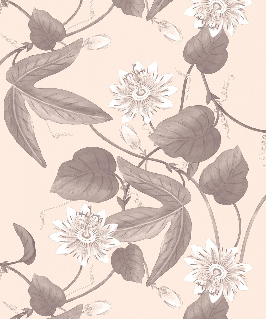 Passiflora Wallpaper • Bold Floral Wallpaper • Sand • Swatch