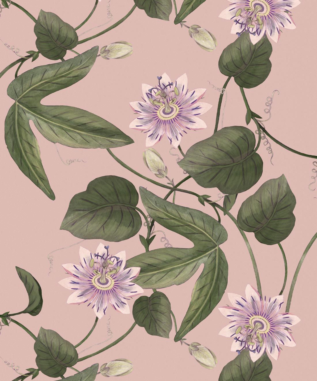 Passiflora Wallpaper • Warm Pink • Swatch